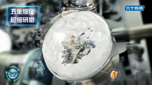 養元飲品上新六個核桃2430為智慧加油 教育專家張雪峰推薦一天一罐