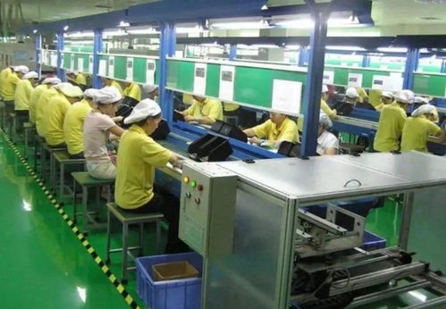 這世道,為什么我還要送孩子出國留學