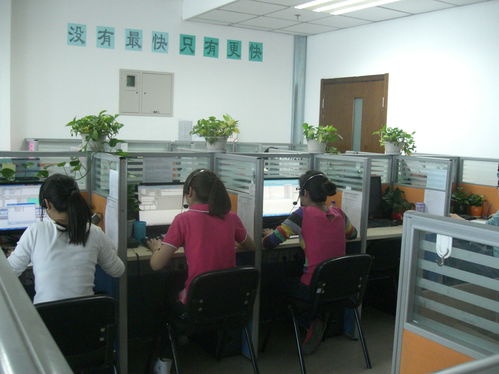 給北京各大公司招becsr咨詢工程師