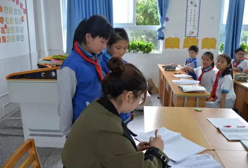 保護森林,熊熊有責 ,學生花式練字,不給 優星 說不過去了