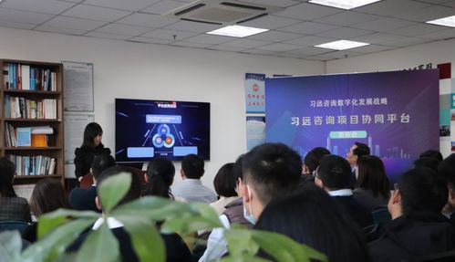 習遠發布咨詢項目協同平臺 信息化系統實現業務全覆蓋